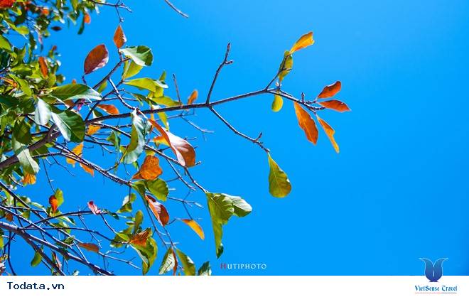 Rức Sắc Màu Hoa Trên Những Nẻo Đường Phượt Mùa Thu - Ảnh 8