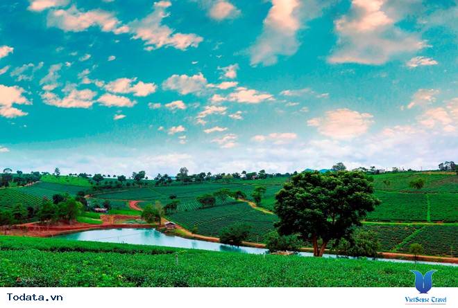 Rức Sắc Màu Hoa Trên Những Nẻo Đường Phượt Mùa Thu - Ảnh 10