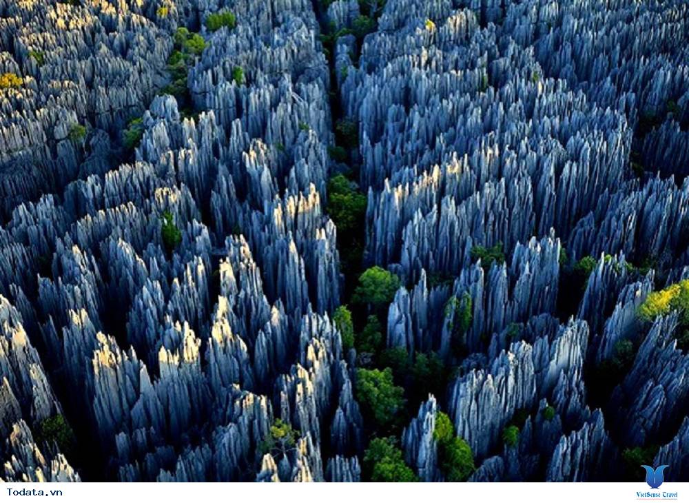 Rừng đá Thạch Lâm, kỳ quan đầu tiên của thế giới - Ảnh 1