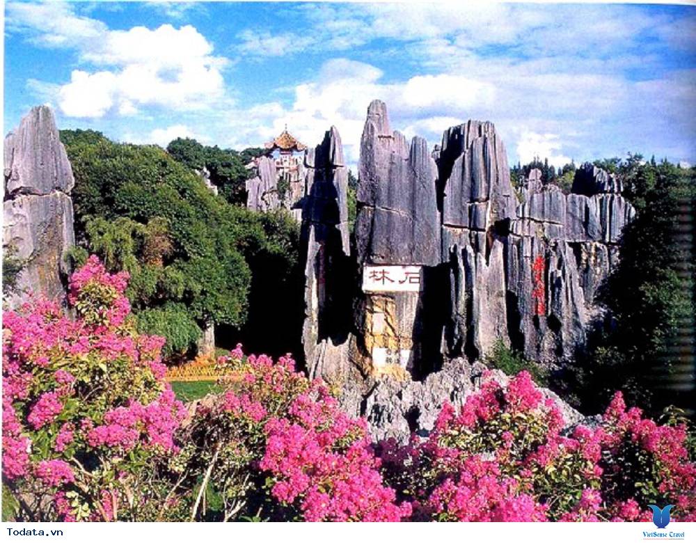 Rừng đá Thạch Lâm, kỳ quan đầu tiên của thế giới - Ảnh 3