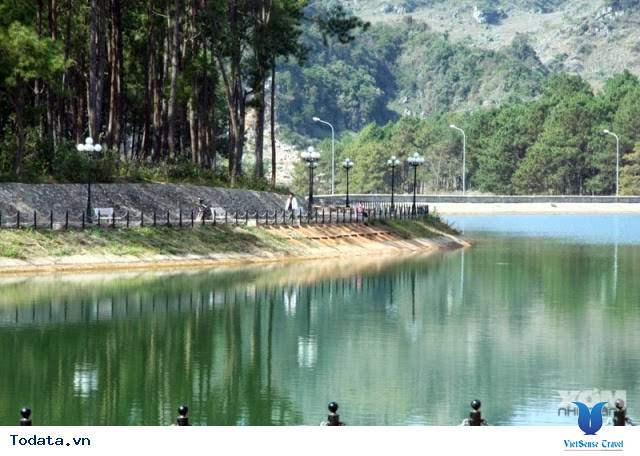 Rừng Thông Bản Áng - Ảnh 4