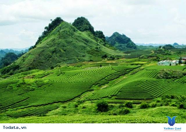 Rừng Thông Bản Áng - Ảnh 1