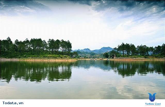 Rừng Thông Bản Áng - Ảnh 2