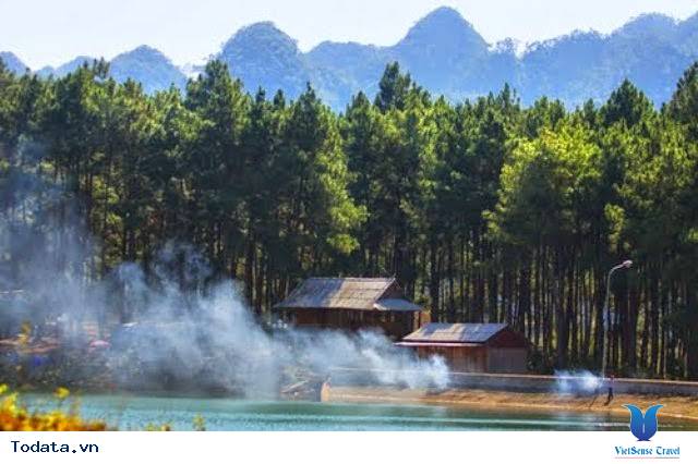 Rừng Thông Bản Áng - Ảnh 6