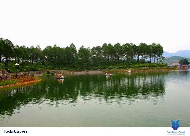 Rừng Thông Bản Áng - Ảnh 3