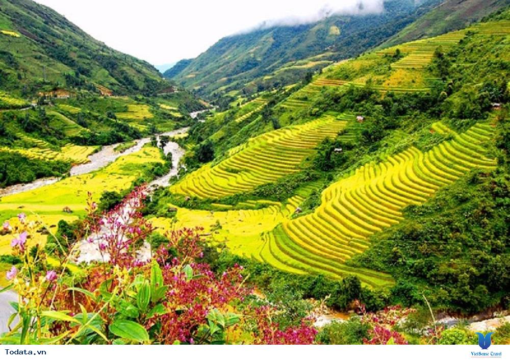 Ruộng bậc thang tưới nước đền ở Bali - Ảnh 2 Ruộng bậc thang tưới nước đền ở Bali - Ảnh 2