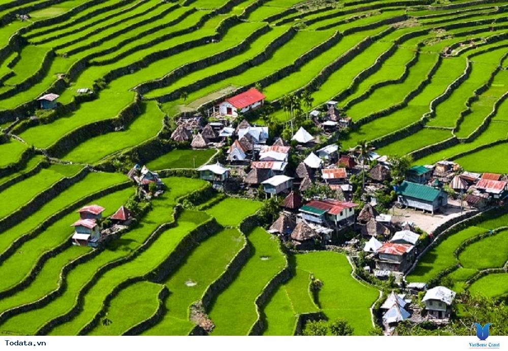 Ruộng bậc thang tưới nước đền ở Bali - Ảnh 1 Ruộng bậc thang tưới nước đền ở Bali - Ảnh 1