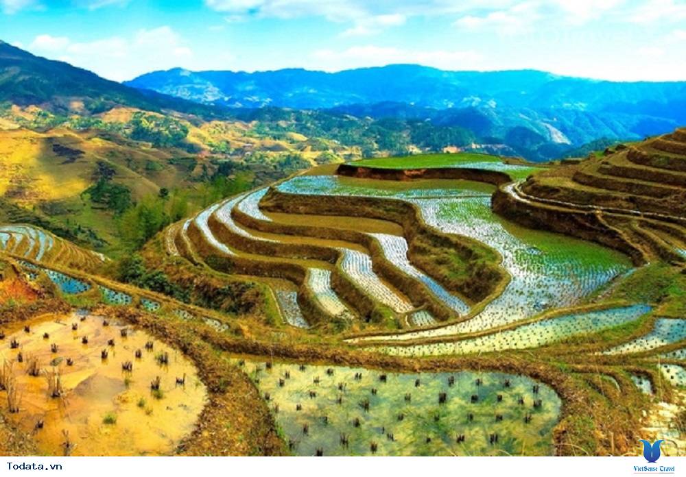 Ruộng bậc thang tưới nước đền ở Bali - Ảnh 3 Ruộng bậc thang tưới nước đền ở Bali - Ảnh 3