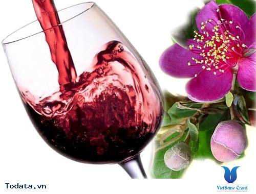 Rượu sim Phú Quốc