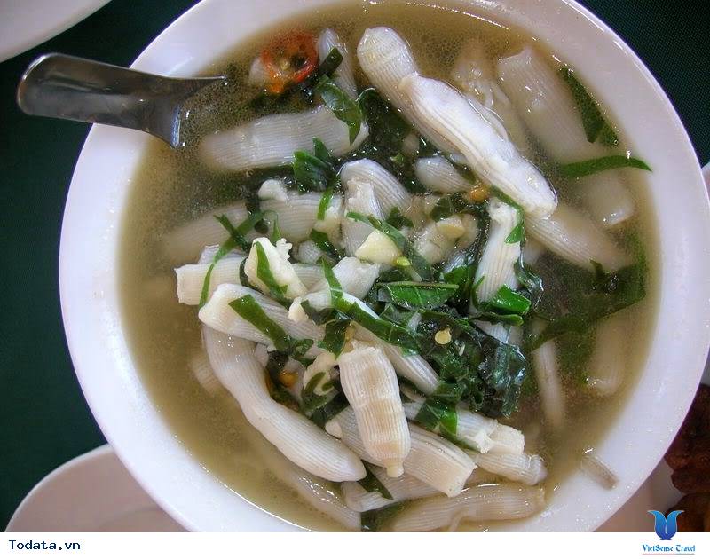 Sá sùng Côn Đảo