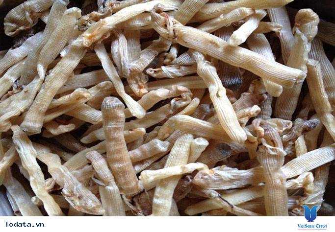 Sá Sùng Quan Lạn - Ảnh 10 Sá Sùng Quan Lạn - Ảnh 10