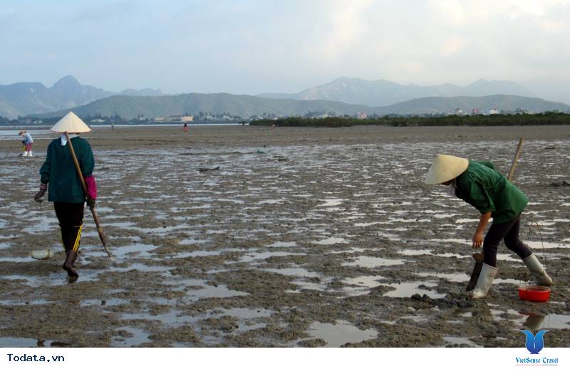 Sá Sùng Quan Lạn - Ảnh 6 Sá Sùng Quan Lạn - Ảnh 6