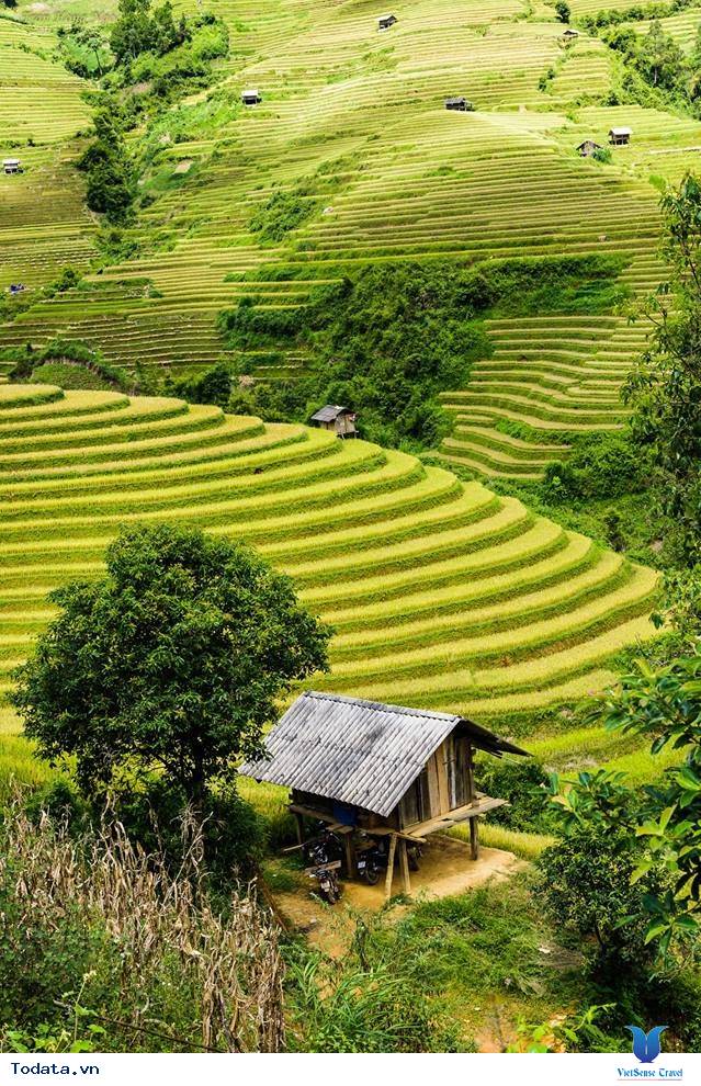 Sắc Thu Chảy Vàng Ruộng Bậc Thang Mù Cang Chải - Ảnh 7