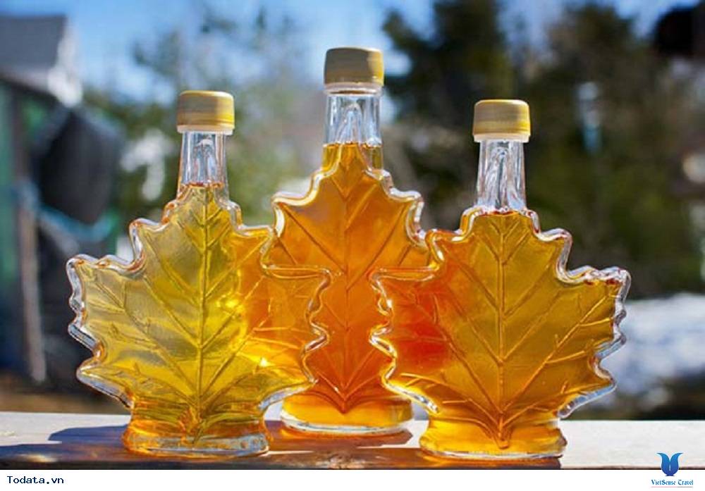 Siro cây lá phong, chỉ Canada mới có - Ảnh 1