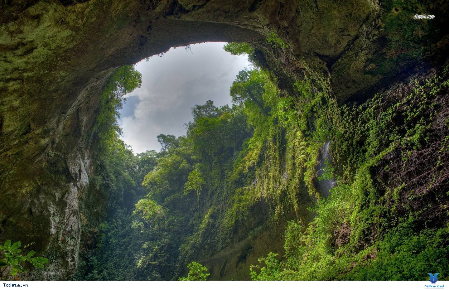 SƠN ĐOÒNG LỌT TOP 12 HANG ĐỘNG KỲ VỸ NHẤT THẾ GIỚI - Ảnh 3