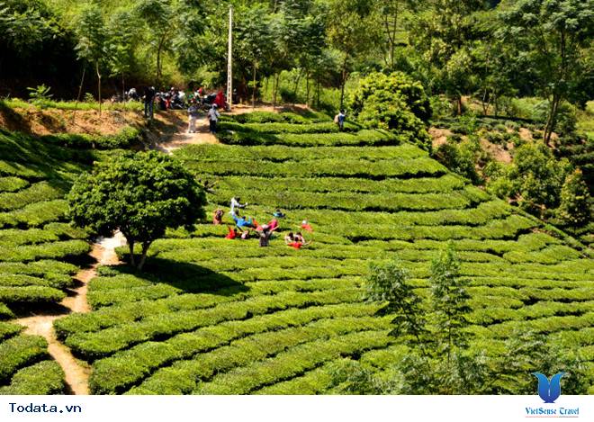 Suối Giàng, Điểm Đến Mới Lý Tưởng - Ảnh 4