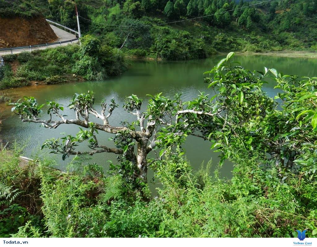 Suối Giàng, Điểm Đến Mới Lý Tưởng - Ảnh 5