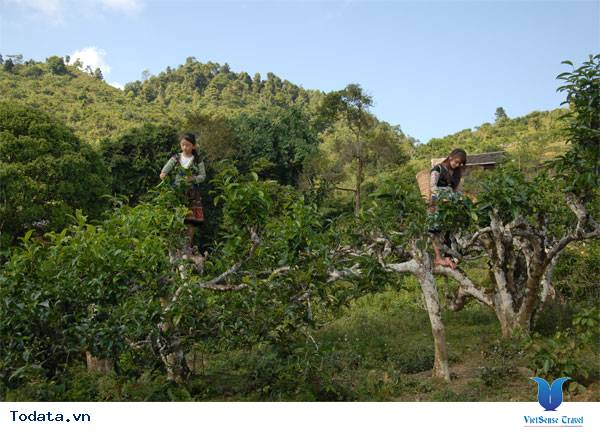 Suối Giàng, Điểm Đến Mới Lý Tưởng - Ảnh 9