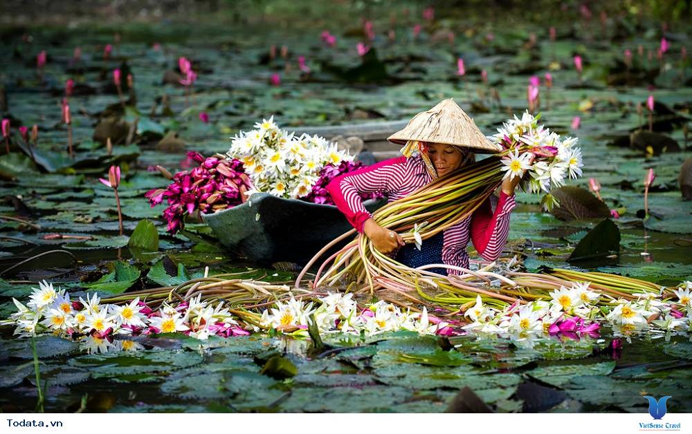 Tất tần tật những địa điểm tham quan ở miền Tây - Ảnh 3 Tất tần tật những địa điểm tham quan ở miền Tây - Ảnh 3