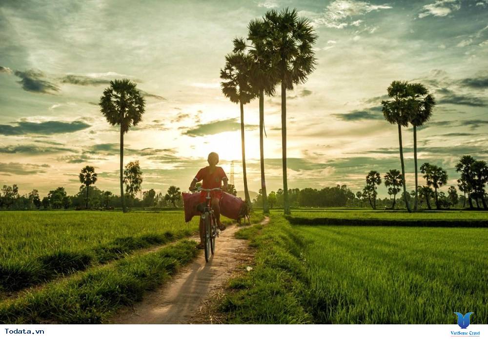 Tất tần tật những địa điểm tham quan ở miền Tây - Ảnh 2 Tất tần tật những địa điểm tham quan ở miền Tây - Ảnh 2