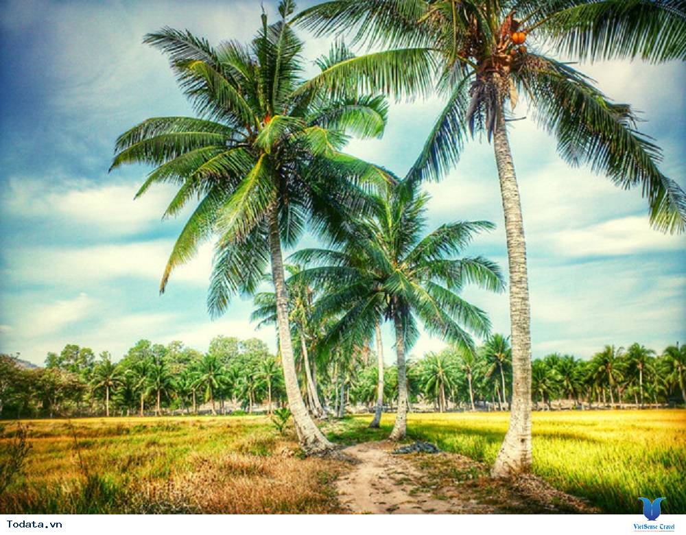 Tất tần tật những địa điểm tham quan ở miền Tây - Ảnh 1 Tất tần tật những địa điểm tham quan ở miền Tây - Ảnh 1