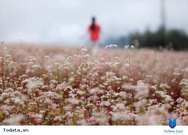 Tây Bắc - Đi Rồi Thì Chẳng Muốn Về - Ảnh 2