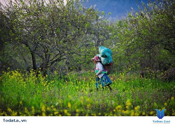 Tây Bắc - Đi Rồi Thì Chẳng Muốn Về - Ảnh 15