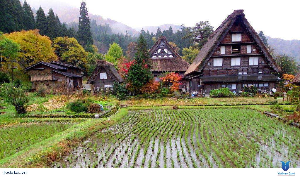 Tham quan hai ngôi làng cổ nhất của Nhật Bản - Ảnh 2
