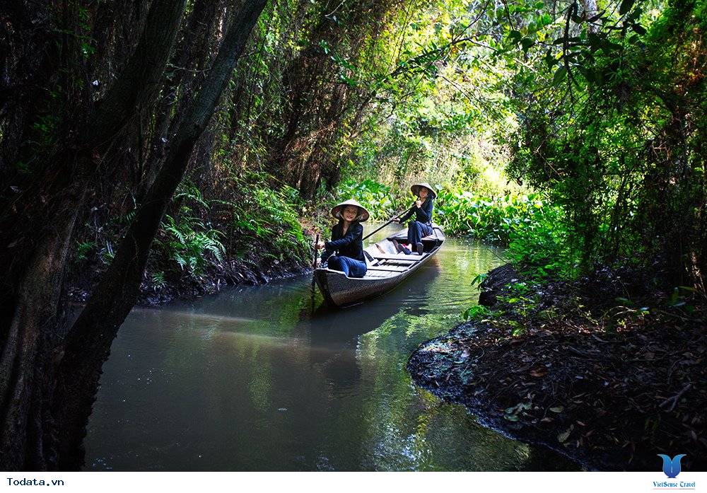Tham quan khu sinh thái Xẻo Quýt ở Đồng Tháp - Ảnh 2 Tham quan khu sinh thái Xẻo Quýt ở Đồng Tháp - Ảnh 2