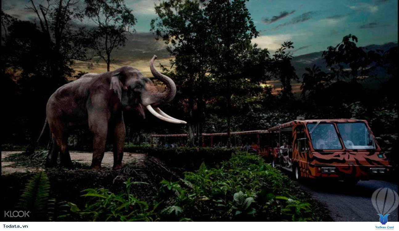Tham Quan Vườn Thú Night Safari - Ảnh 10 Tham Quan Vườn Thú Night Safari - Ảnh 10