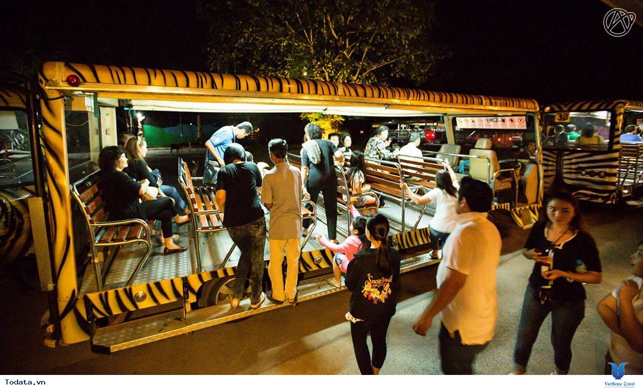 Tham Quan Vườn Thú Night Safari - Ảnh 5 Tham Quan Vườn Thú Night Safari - Ảnh 5