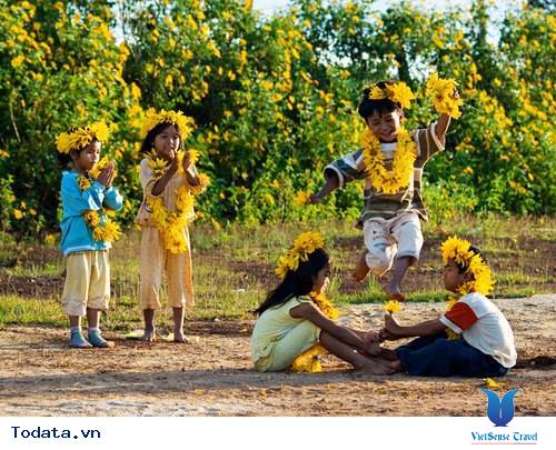 Tháng 10 Du Lịch Đà Lạt Ngắm Hoa Dã Quỳ Nở Rực - Ảnh 4