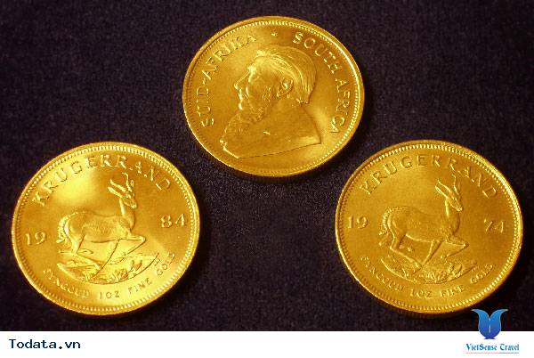 Thành phố vương giả Johannesburg ở Nam Phi - Ảnh 4