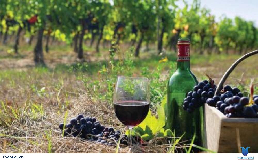 Thế giới rượu vang Nam Phi - Ảnh 1 Thế giới rượu vang Nam Phi - Ảnh 1