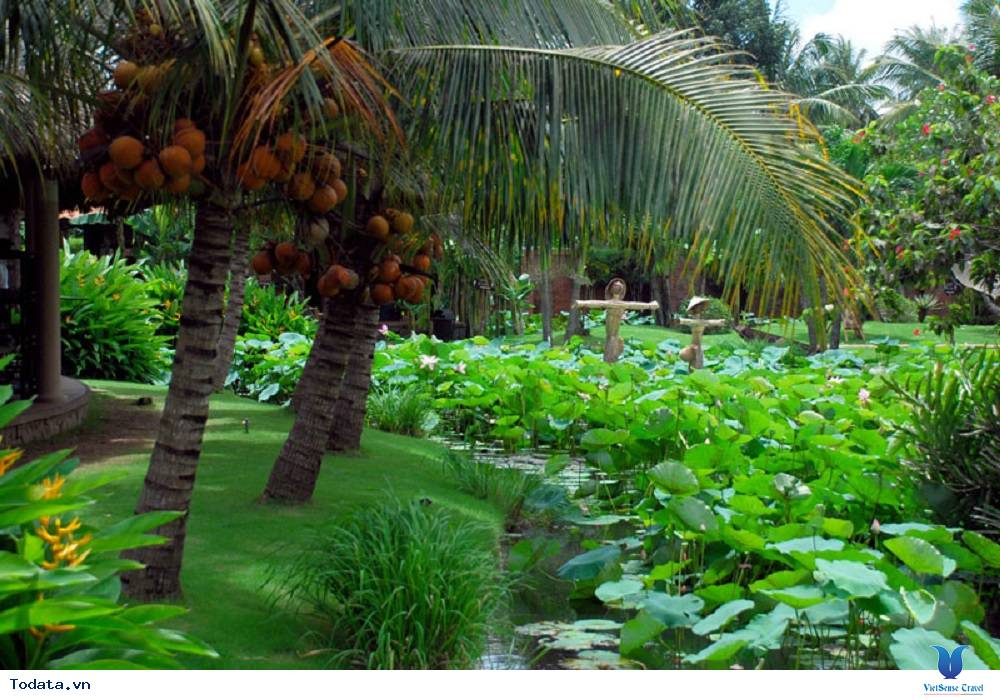 Thời điểm đẹp để đi du lịch miền Tây - Ảnh 2