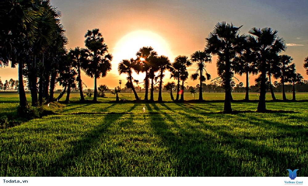 Thời điểm đẹp để đi du lịch miền Tây - Ảnh 3