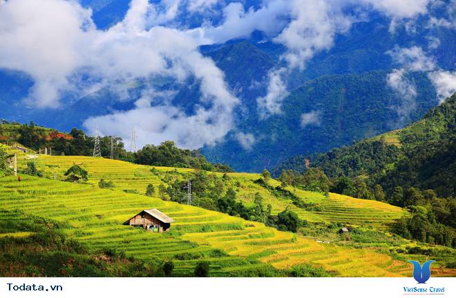 Thời Gian Và Địa Điểm Lý Tưởng Ngắm Mùa Lúa Chín Tây Bắc - Ảnh 5