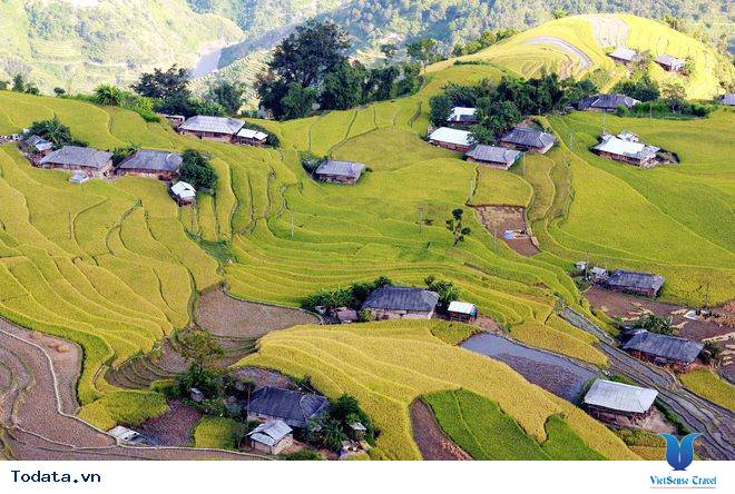 Thời Gian Và Địa Điểm Lý Tưởng Ngắm Mùa Lúa Chín Tây Bắc - Ảnh 2