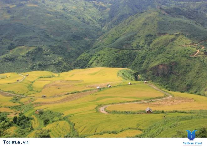 Thời Gian Và Địa Điểm Lý Tưởng Ngắm Mùa Lúa Chín Tây Bắc - Ảnh 4