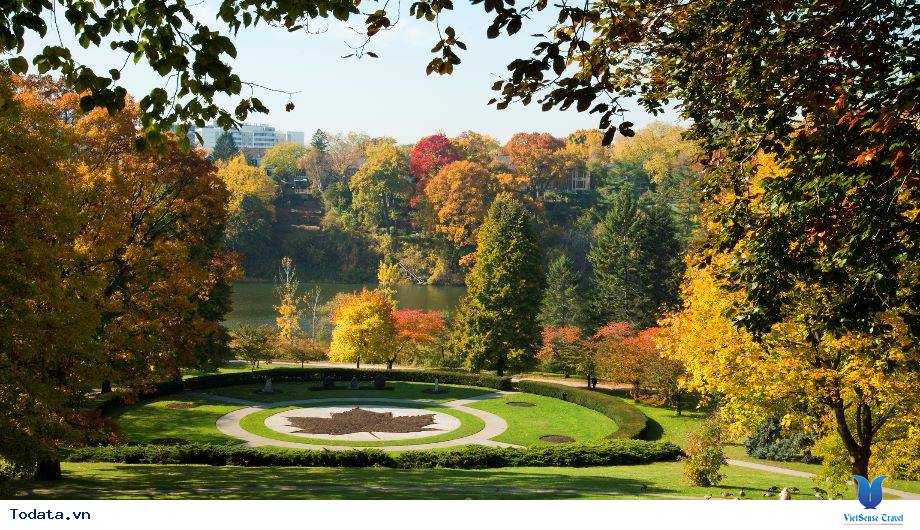 Thời tiết ở Canada như thế nào - Ảnh 1