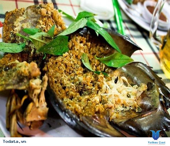 Thơm Ngon Sam Biển Nướng Cát Bà - Ảnh 4 Thơm Ngon Sam Biển Nướng Cát Bà - Ảnh 4