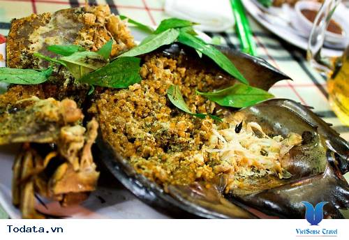 Thơm Ngon Sam Biển Nướng Cát Bà - Ảnh 6 Thơm Ngon Sam Biển Nướng Cát Bà - Ảnh 6