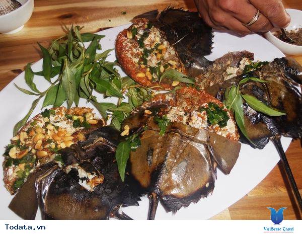 Thơm Ngon Sam Biển Nướng Cát Bà - Ảnh 9 Thơm Ngon Sam Biển Nướng Cát Bà - Ảnh 9