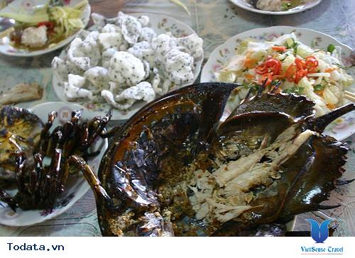 Thơm Ngon Sam Biển Nướng Cát Bà - Ảnh 5 Thơm Ngon Sam Biển Nướng Cát Bà - Ảnh 5