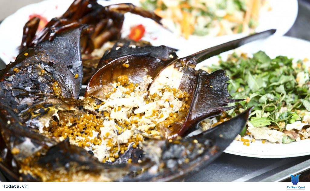 Thơm Ngon Sam Biển Nướng Cát Bà - Ảnh 3 Thơm Ngon Sam Biển Nướng Cát Bà - Ảnh 3