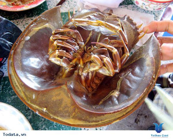 Thơm Ngon Sam Biển Nướng Cát Bà - Ảnh 2 Thơm Ngon Sam Biển Nướng Cát Bà - Ảnh 2