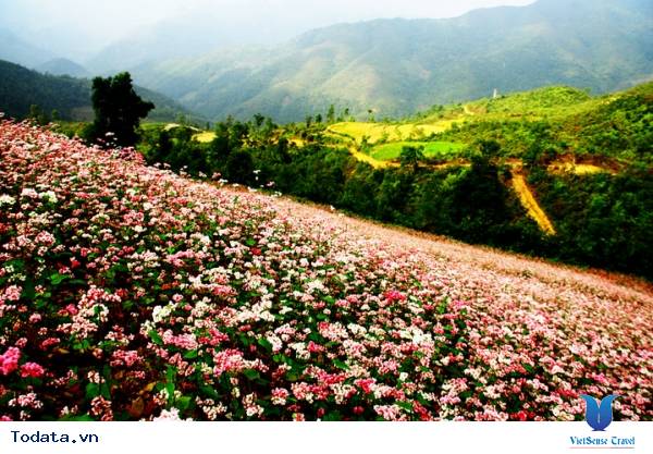 Thung Lũng Sủng Là Hà Giang - Ảnh 3