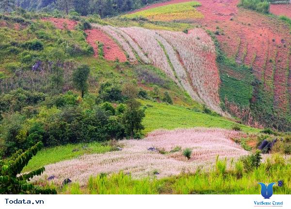 Thung Lũng Sủng Là Hà Giang - Ảnh 4