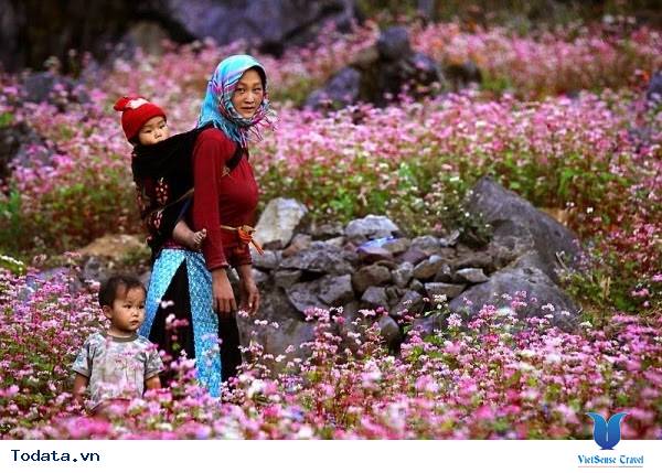 Thung Lũng Sủng Là Hà Giang - Ảnh 8