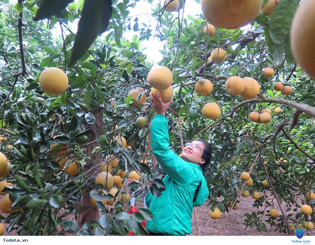 Tiềm năng du lịch Phúc Thọ, Hà Nội - Ảnh 4